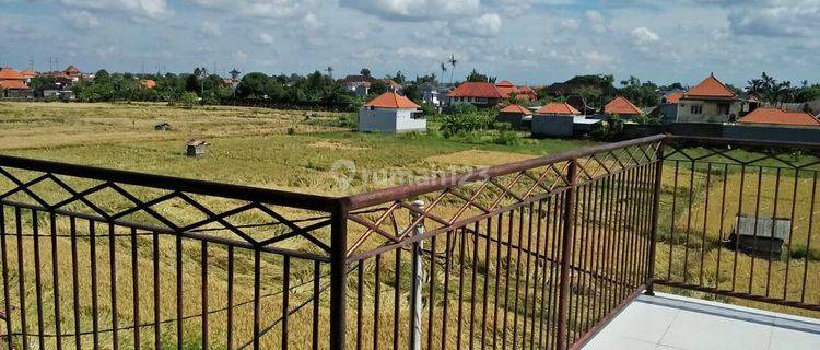 Id:F-764 Disewakan Rumah Sanur Denpasar Bali Dekat Panjer Renon 1