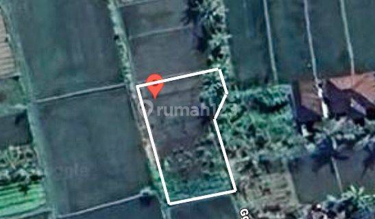 Id:F-834 For Rent Cheap Land 4.5 Are Batubulan Gianyar Bali 1