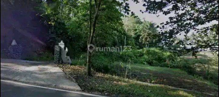 Dijual Tanah Di Dekat Pantai Ranca Buaya Kabupaten Garut 1