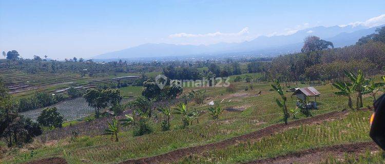 Tanah Berpotensial Di Daerah Samarang Garut? Mampir Dulu Ke Iklan Ini Yuk! 1