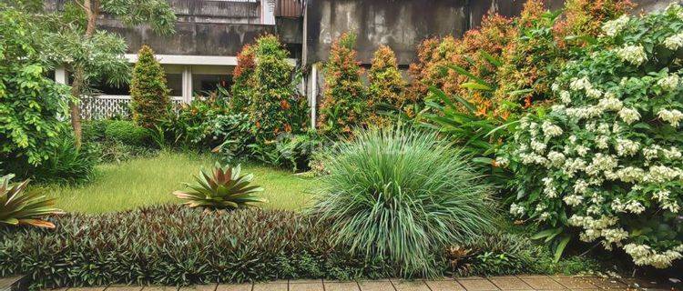 rumah bagus lokasi strategis di menteng  1