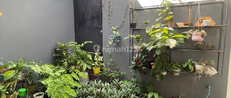 Rumah Batu Malang Jawa Timur Semi Furnished Siap Huni 1