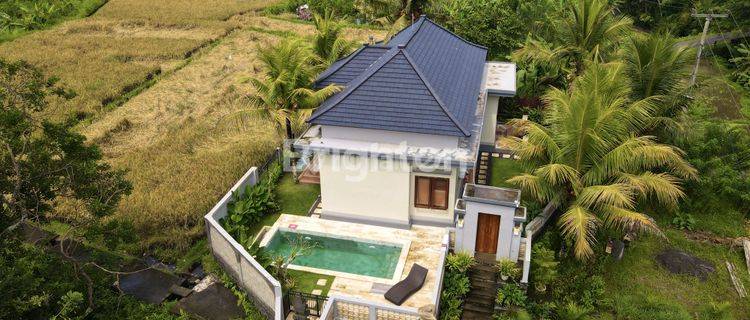 BEAUTIFUL 2 BEDROOM VILLA IN UBUD 1