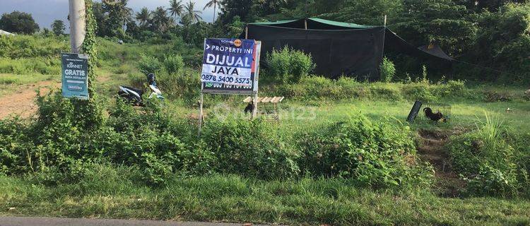 Tanah Akses Tamai Lalu Lintas Dan Pemukiman Dekat Lovina Bali 1
