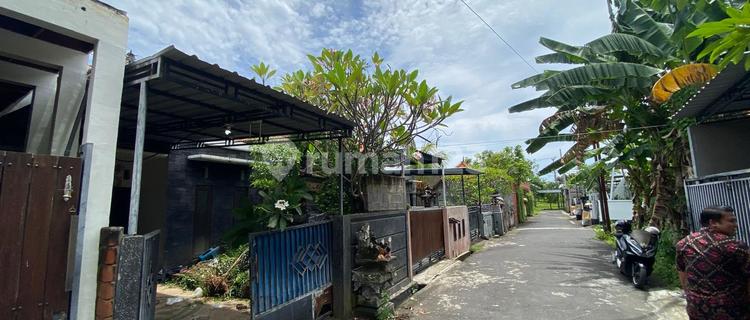 Rumah Lingkungan Sejuk Dan Tenang Dekat Kota Singaraja Bali Utara 1