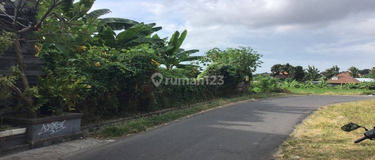 Cheap Land Premium Residential Area In The Middle Of Singaraja City Bali 1