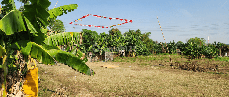 Lahan Tanah Daratan Bebas Banjir Lokasi Strategis  Di Cibitung 1