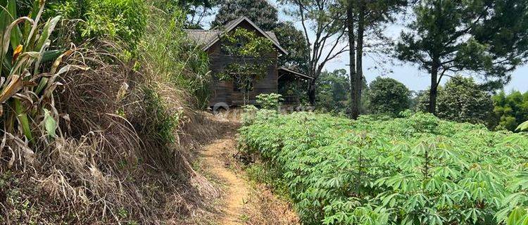 Tanah Luas Cocok Untuk Villa di Gunung Geulis, Bogor 1