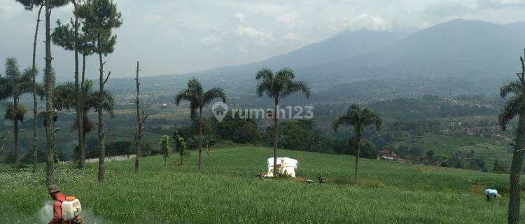 Dijual Tanah Murah di Cimaung Banjaran Kabupaten Bandung 1