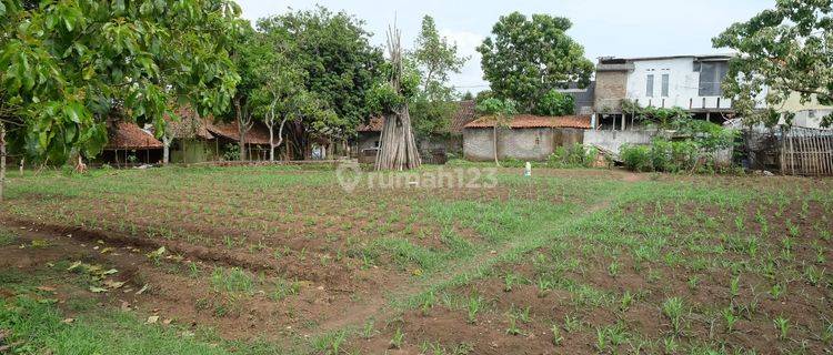 Dijual Lahan Luas Plus Rumah Di Sucinaraja Garut 1