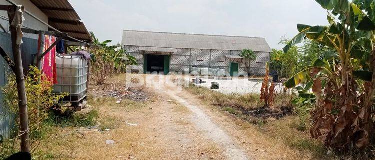 Gudang penggilingan beras, tanah Luas Lamongan 1