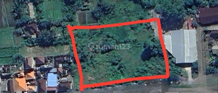 Tanah Super Strategis Lebar Depan 80 Meter Sewa 25 Tahun Di Jalan Raya Gianyar Bali Investasi Emas Di Lokasi Prima 1