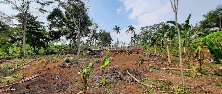 Dijual Tanah Kosong Di Cariu Puncak Nego 1