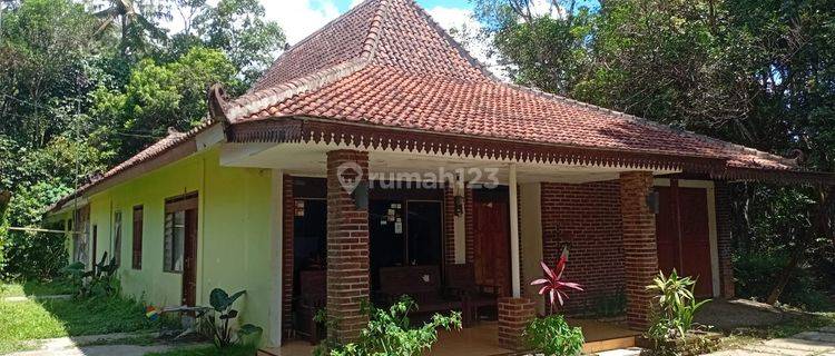 Rumah 1 Lantai Dekat Candi Borobudur, Magelang 1