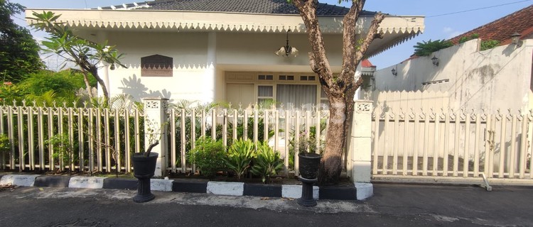 Rumah 1 Lantai Bernuansa Klasik Di Area Kraton Yogyakarta 1