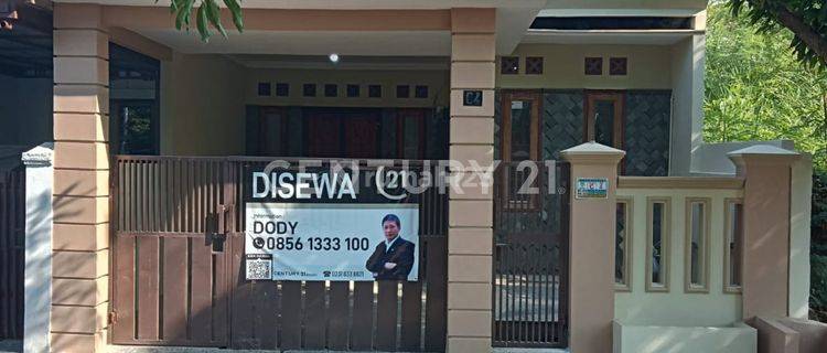 Rumah Sewa Murah Strategis Dkt Kampus,Mall,Rmh Sakit & Pariwisata 1