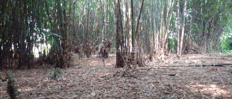 5 Menit Kantor Desa Cibodas Lokasi Hunian Asri sejuk Shm.cicil 12 Tanpa Bunga 0  1