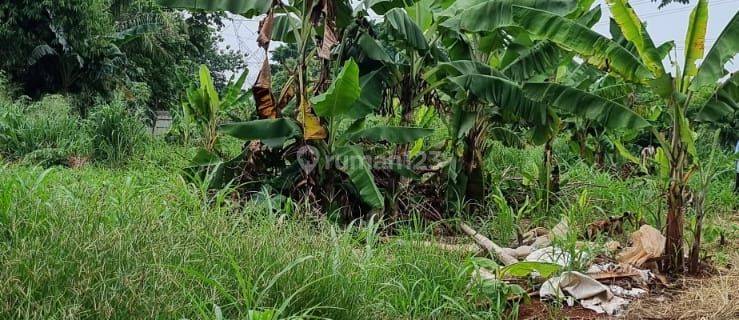 Disewakan Tanah 1 Hektar di Pagedangan 1