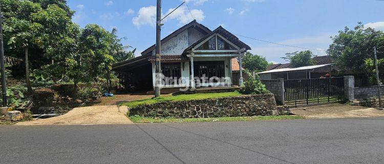 RUMAH ASRI, SIAP HUNI DI PINGGIR JALAN UTAMA UNGARAN - MRANGGEN 1