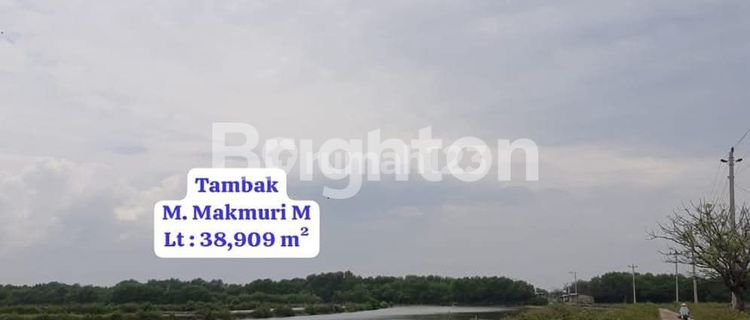 DIJUAL TANAH EX TAMBAK DI DESA TAMBAK, BULUSAN, DEMAK 1