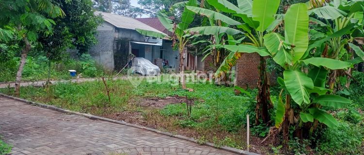 YUK INVESTASI TANAH DI JATIBARANG SEMARANG 1