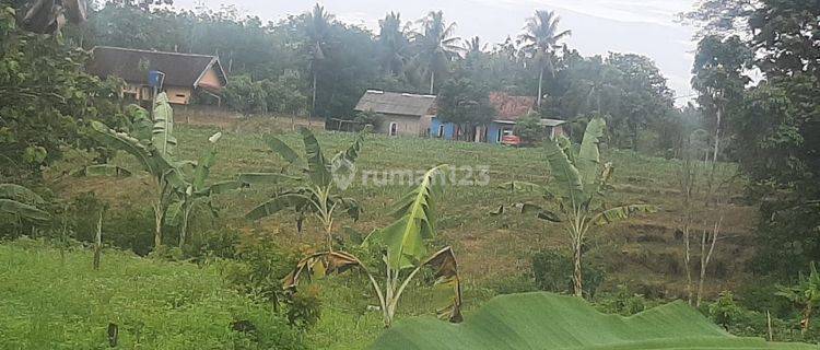 Tanah Perkarangan Murah,siap Bangun , Bonus Rumah Di Lampung 1