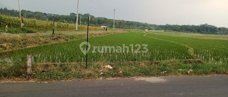 TANAH PERKARANGAN SIAP BANGUN DI DESA SODONG MIJEN DEKAT BSB 1