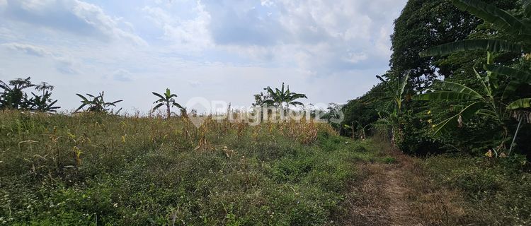 TANAH INVESTASI SIAP DIBAGUN PERUMAHAN DI  MIJEN DEKAT BSB 1