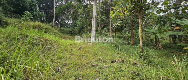 Tanah Strategis Tepi Jalan, Siap Pakai Di Sumur Rejo, Gunung Pati 1