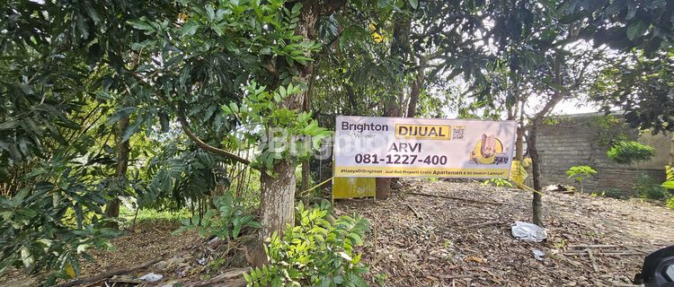 TANAH STRATEGIS TEPI JALAN KABUPATEN, SIAP PAKAI DI UNGARAN TIMUR 1