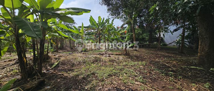 TANAH SIAP BANGUN UNTUK INVESTASI DI LOKASI KOS2 AN DEKAT UNDIP TEMBALANG 1