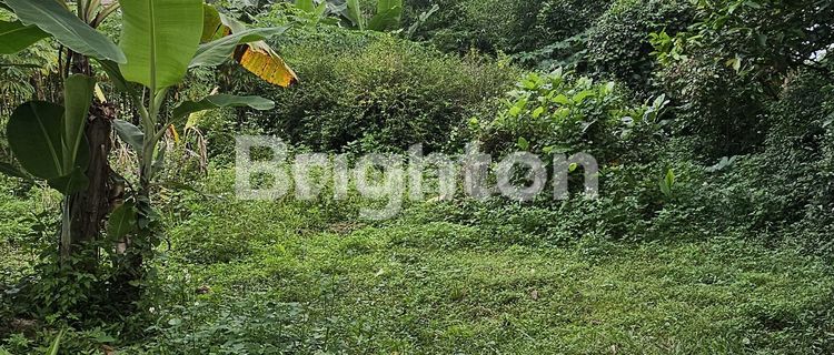 INVESTMENT LAND IN A STRATEGIC LOCATION, READY TO BUILD IN EAST UNGARAN NEAR POLYMARIN. 1