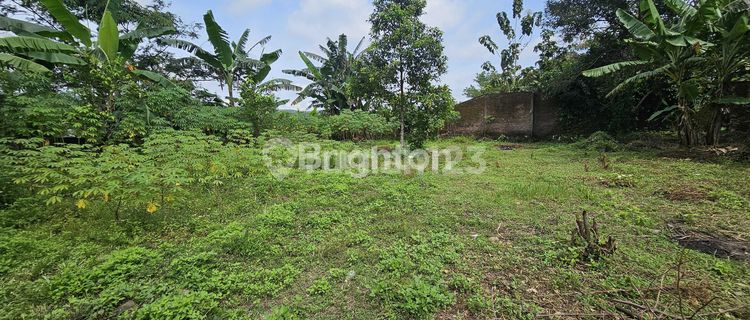 INVESTMENT LAND, STRATEGICALLY LOCATED READY TO BUILD IN THE SCENIC ENVIRONMENT OF GUNUNG PATI 1