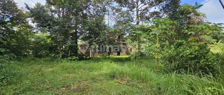 SHM Land 8347M², Serene with Durian Trees, Gunung Pati 1
