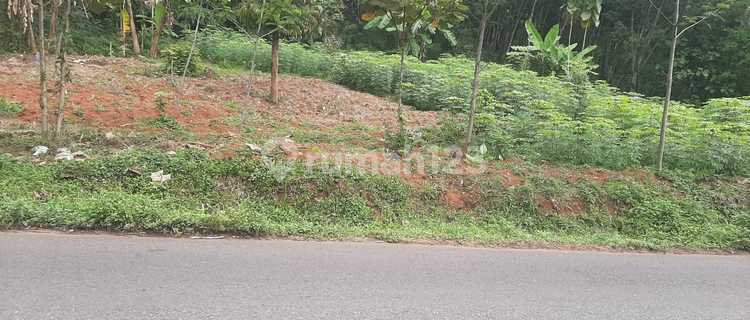 Disewakan Tanah 1.193 m² di Beji Kalongan, Ungaran Timur 1