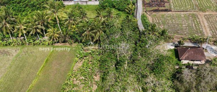 Land with Rice Field View in Singakerta Tebongkang Ubud Gianyar Bali 1