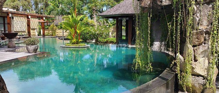 Luxury Villas For Rent In Seminyak Ready To Be Occupied Daily, Weekly And Monthly 1