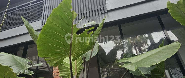 For Sale: Boarding House, Apartment, and Private Villa in Padonan Canggu 1