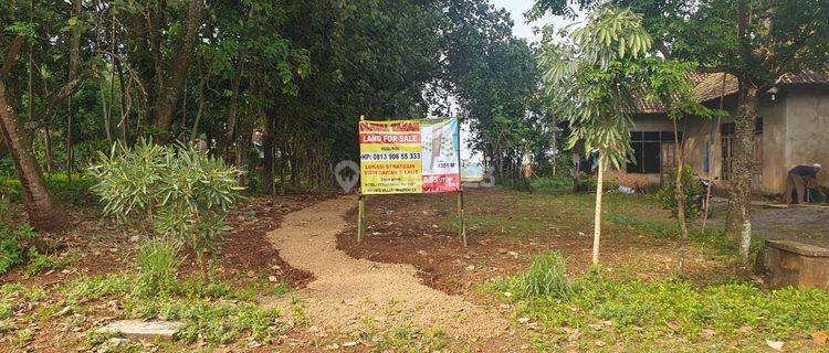 DI JUAL TANAH - Area  Strategis JEPARA  1