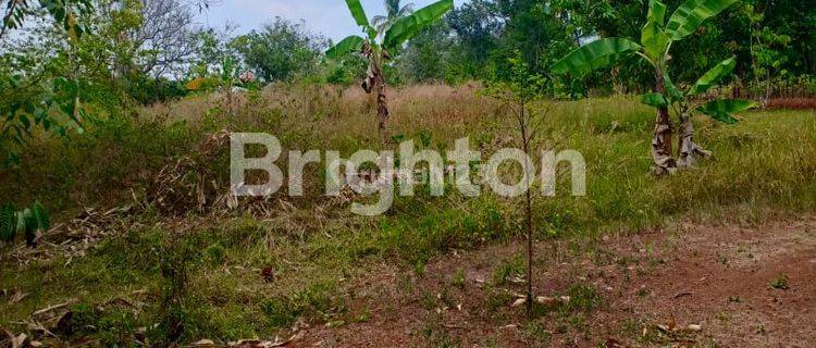 DIJUAL TANAH DI KOSONG DI CIBODAS JONGGOL. PRMBANGUNAN SEDANG BERKEMBANG DISEKITARNYA. 1