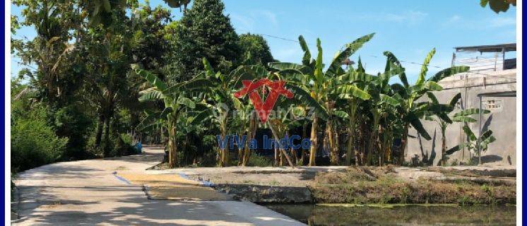 Tanah Murah Dijual di Timur Polsek Jetis Bantul 1