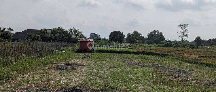 Jual Tanah Jogja Dekat Dengan Calon Exit Tol Sleman 8 Km Ke Ugm 1