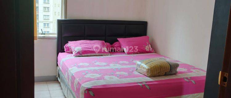 Disewakan Harian Dan Bulanan 2 Kamar Medit 1 1
