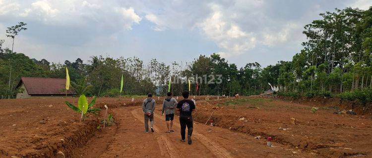 Tanah Kavling Gunungpati Belakang Terminal Gunungpati 1