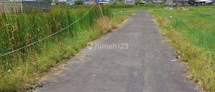 Dijual Tanah Daerah Pedungan, 1