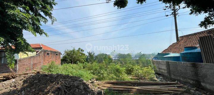 Tanah Dijual Murah Di Daerah Tugu,semarang Cocok Untuk Investasi  1