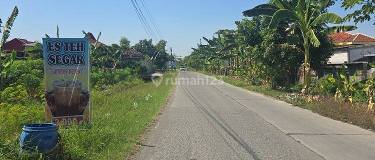 Dijual Tanah Lokasi Bagus di Mranggen Dekat Pemukiman 1