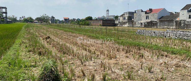 5 Mnt Ringroad Barat Jogja Jual Tanah Godean Sleman 1