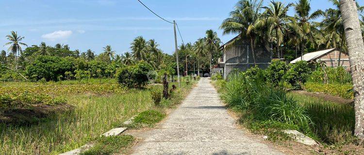  Jual Tanah Tawangsari Kulon Progo Dekat Wates Kota, Jogja Barat 1