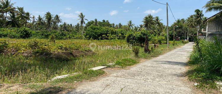 100 Jt an, Tanah Pengasih Dekat Bandara Yia Kulonprogo Jogja 1